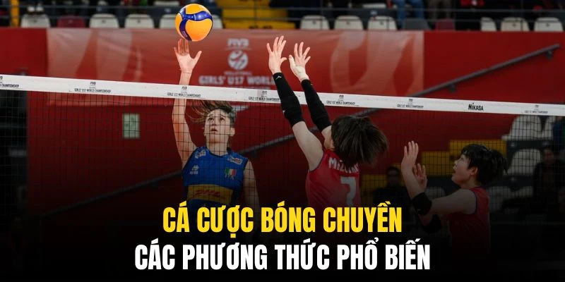 Cá Cược Bóng Chuyền QQ88 - Mọi Thông Tin Cho Mọi Bet Thủ 3 Các phương thức cá cược bóng chuyền rất đa dạng và phong phú